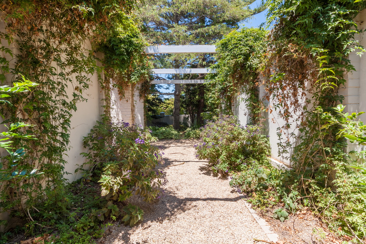 Garden Delight