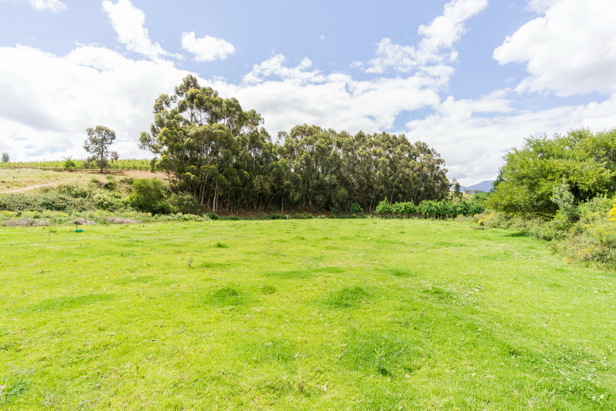 Kromme Rivier Farm