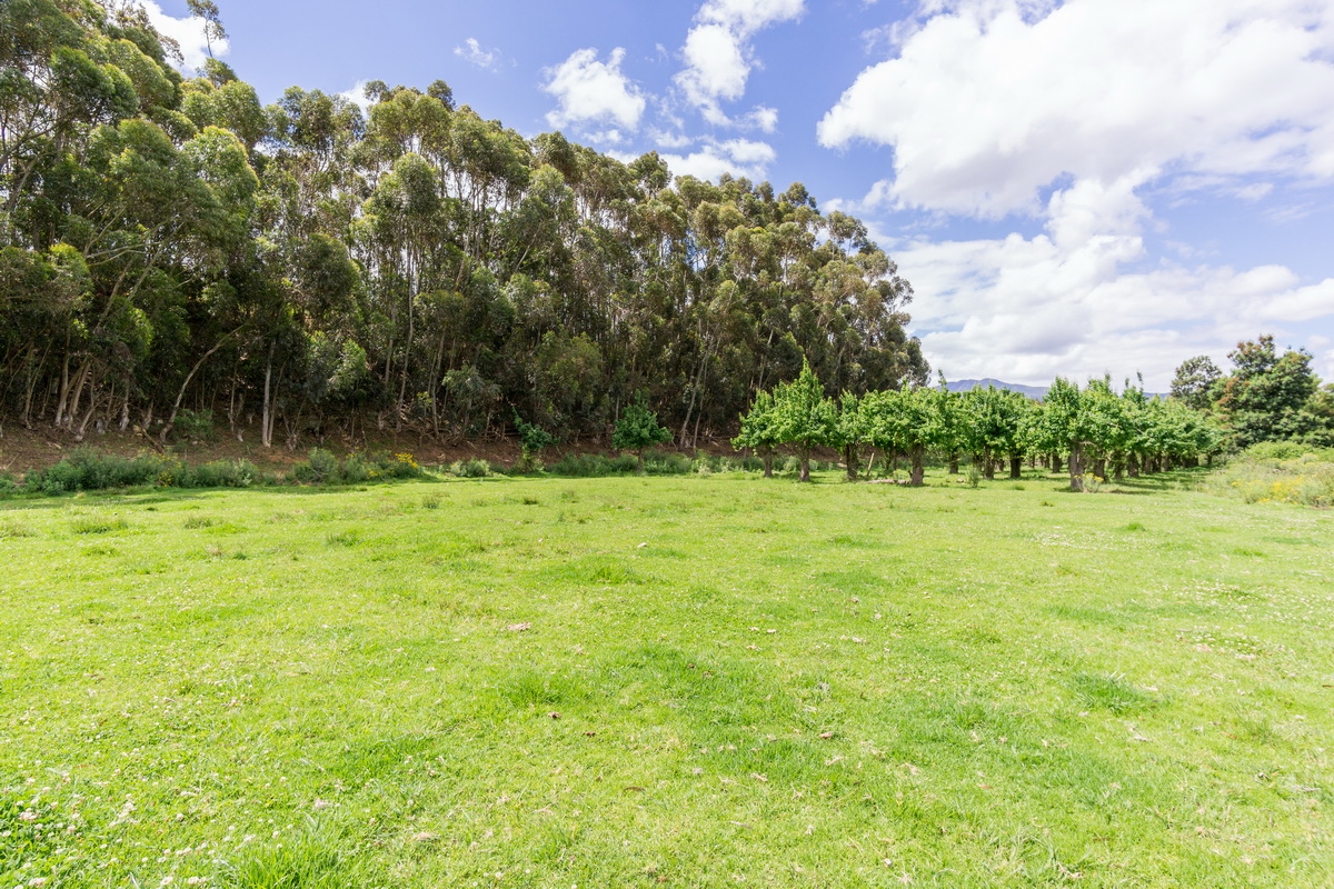 Kromme Rivier Farm
