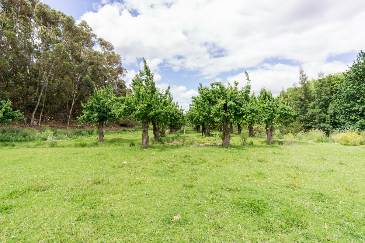 Kromme Rivier Farm