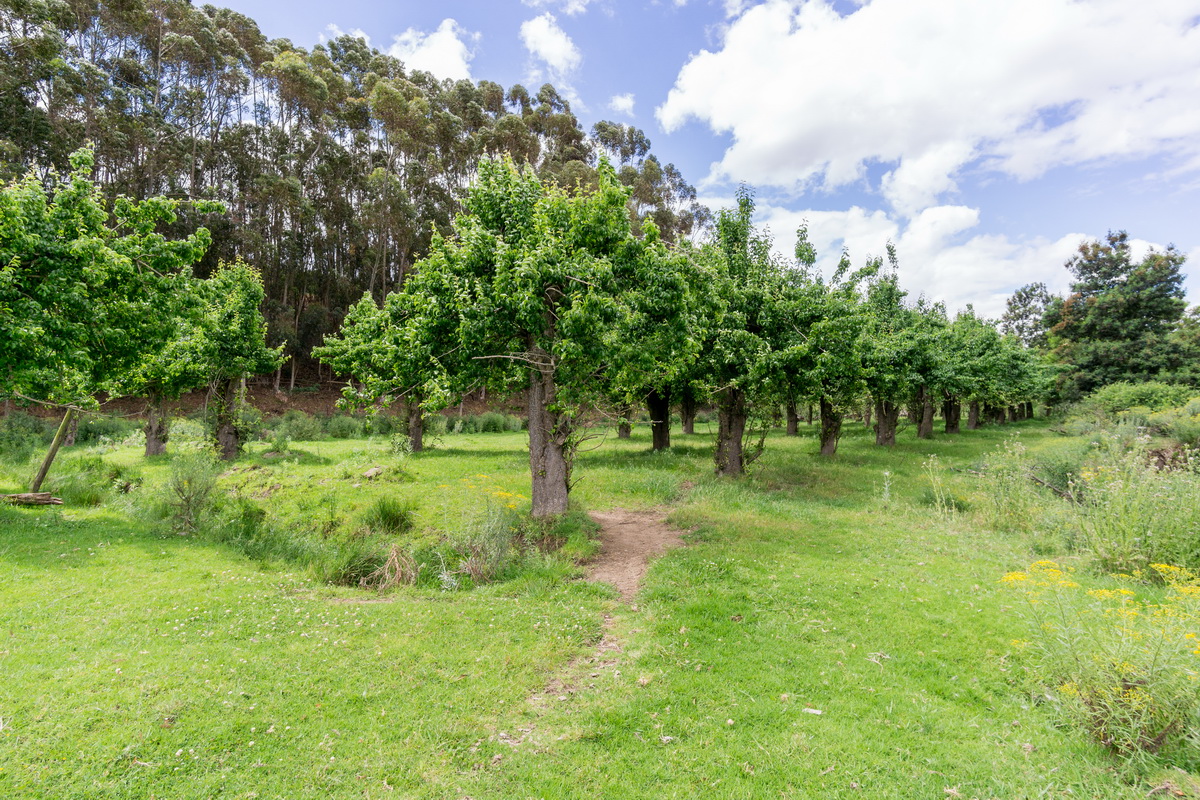 Kromme Rivier Farm