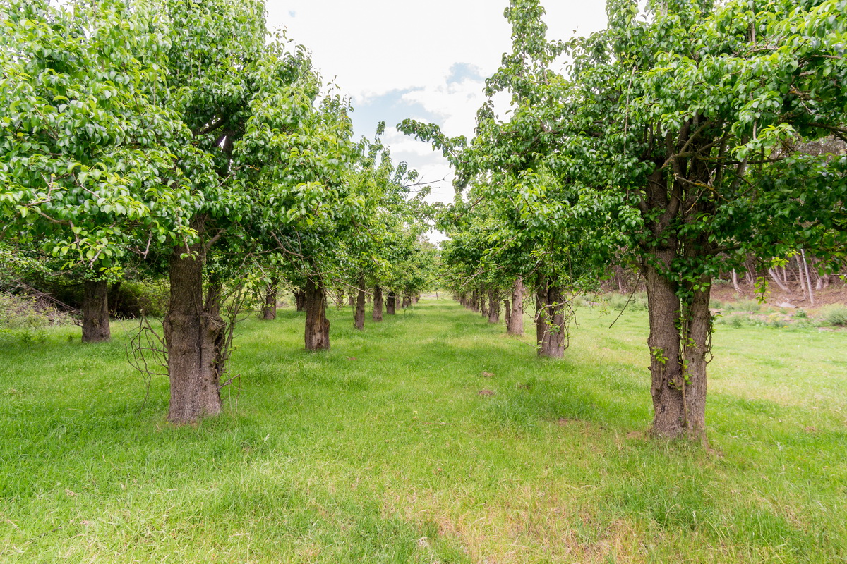 Kromme Rivier Farm