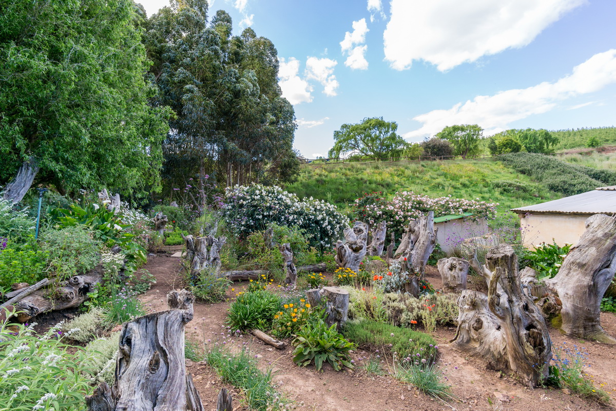 Kromme Rivier Farm