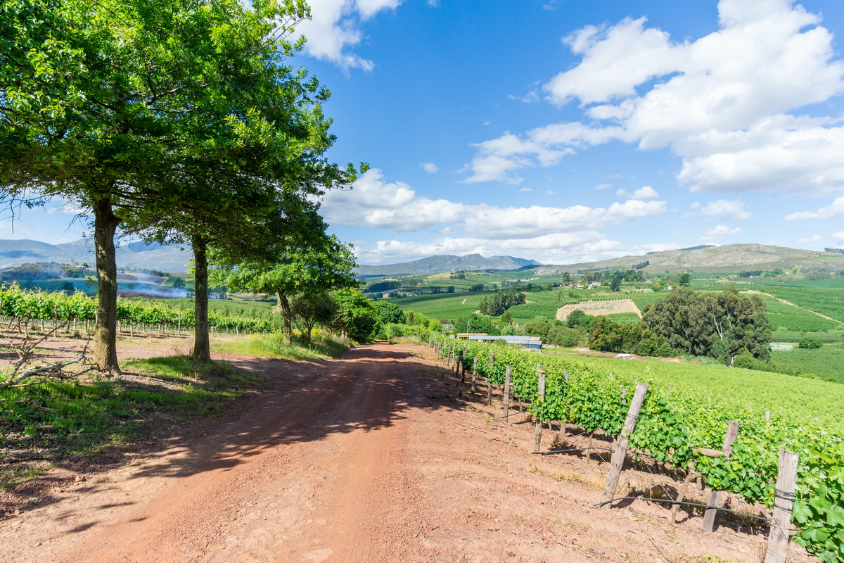 Kromme Rivier Farm