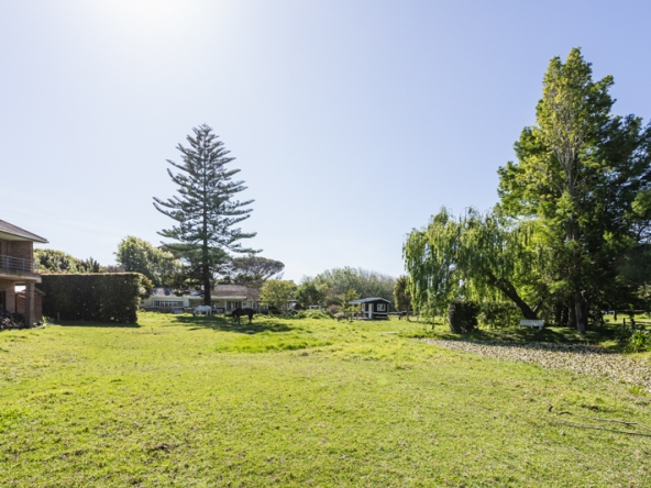 Misty Meadows AS 2025- 002