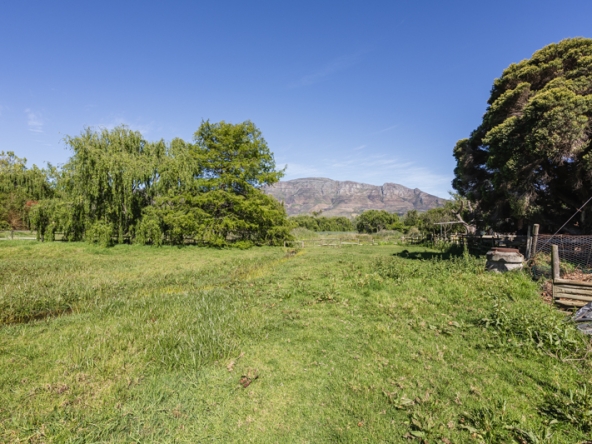 Misty Meadows AS 2025- 005