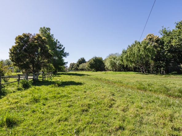 Misty Meadows AS 2025- 006