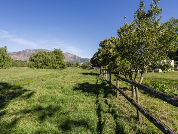 Misty Meadows AS 2025- 012