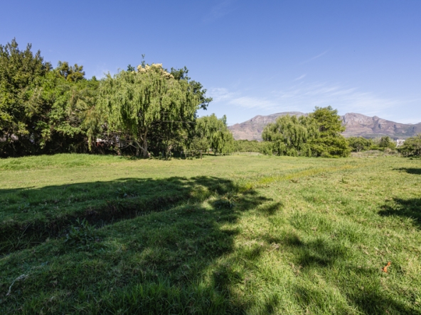 Misty Meadows AS 2025- 013