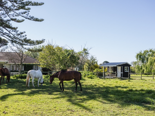 Misty Meadows AS 2025- 014