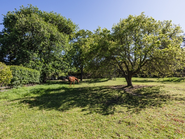 Misty Meadows AS 2025- 018