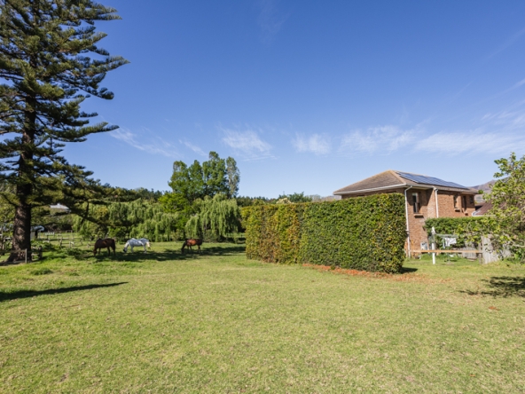 Misty Meadows AS 2025- 020