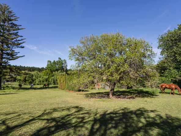 Misty Meadows AS 2025- 022