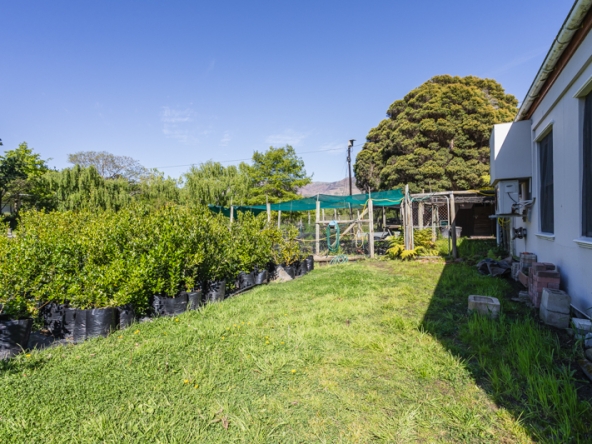 Misty Meadows AS 2025- 023