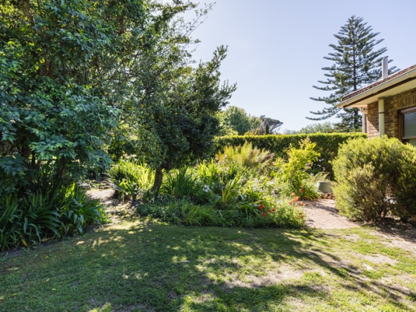 Misty Meadows AS 2025- 025