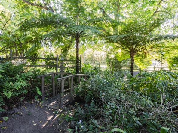 Misty Meadows AS 2025- 027