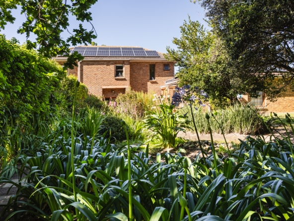 Misty Meadows AS 2025- 032