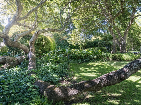 Red Rocket AS 2025- 25