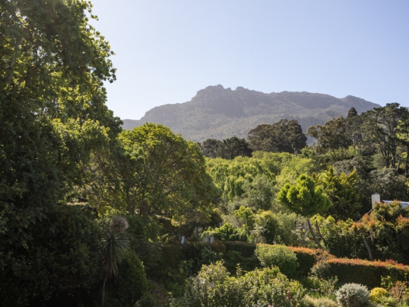 Stargazer AS 2025- 002