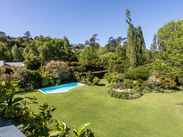 Stargazer AS 2025- 005