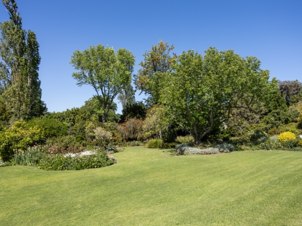 Stargazer AS 2025- 011