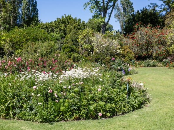 Stargazer AS 2025- 013