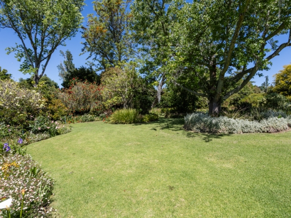 Stargazer AS 2025- 019