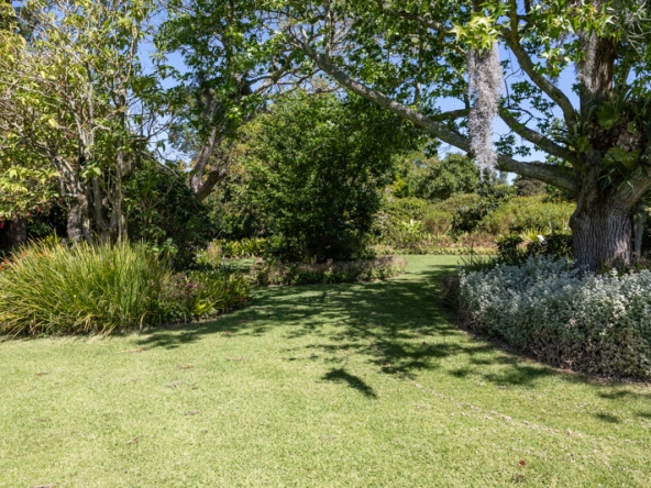 Stargazer AS 2025- 020