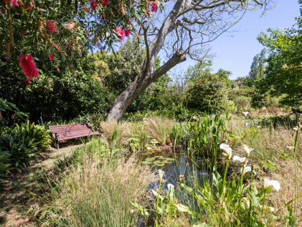 Stargazer AS 2025- 021