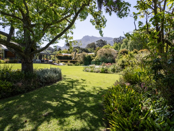 Stargazer AS 2025- 024