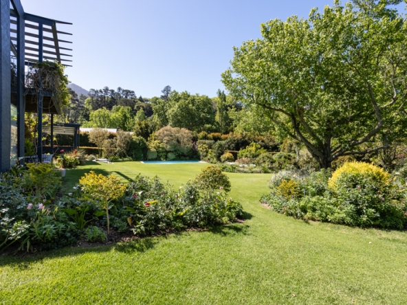 Stargazer AS 2025- 032