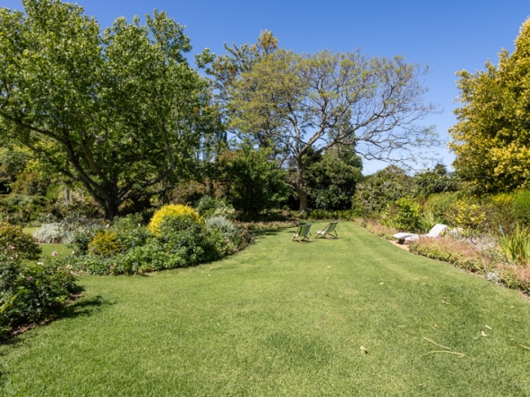 Stargazer AS 2025- 033