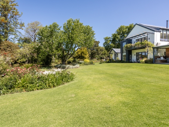 Stargazer AS 2025- 035