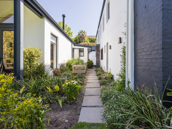 Stargazer AS 2025- 050