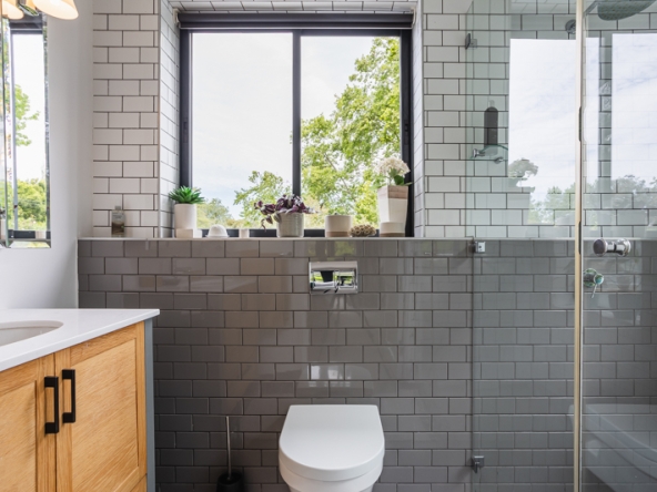 Stargazer AS 2025- 099