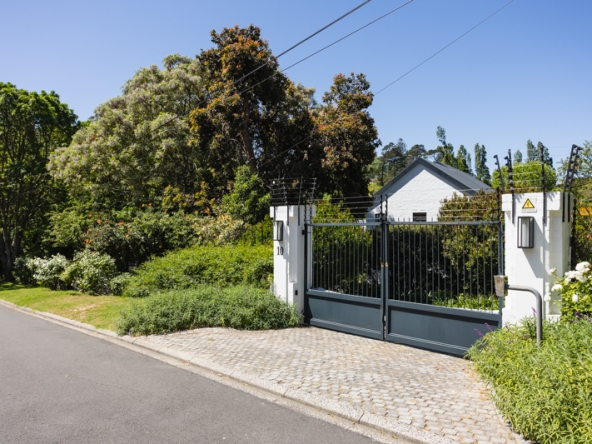 Stargazer AS 2025- 121