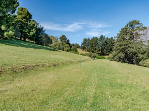 Wechmarshof AS 2022_050