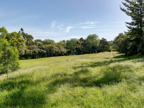 Wechmarshof AS 2022_061