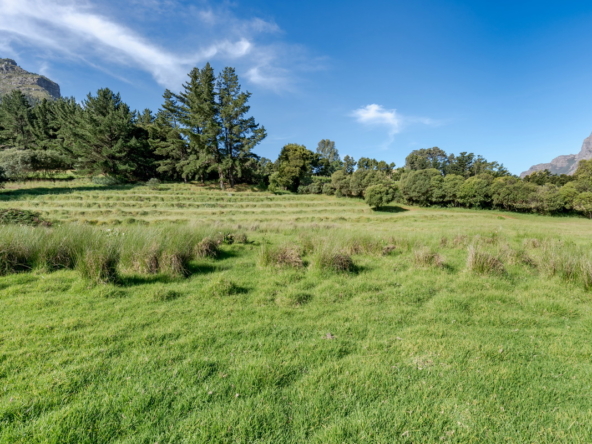 Wechmarshof AS 2022_070