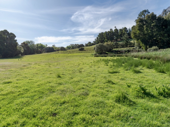 Wechmarshof AS 2022_072