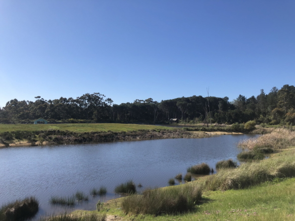 Wiesenhof AS 2019-076