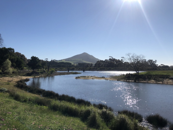 Wiesenhof AS 2019-078