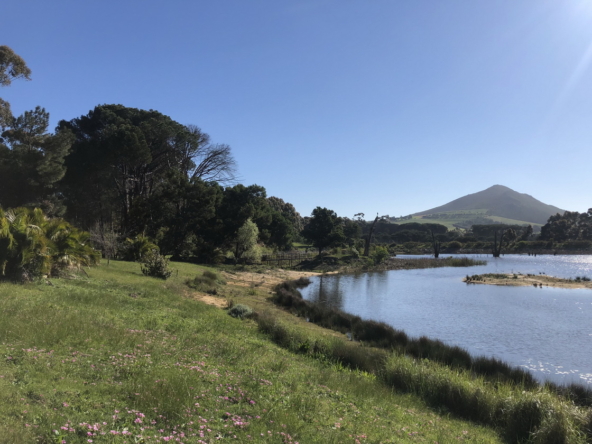 Wiesenhof AS 2019-079