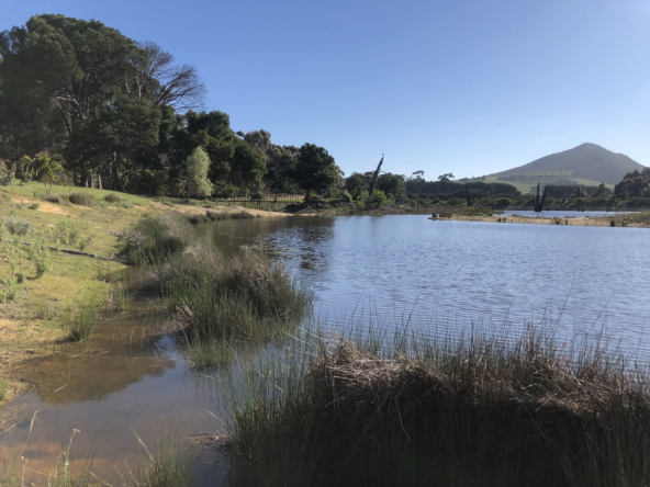 Wiesenhof AS 2019-080