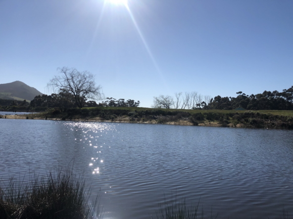 Wiesenhof AS 2019-081