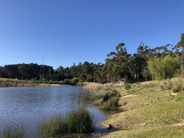 Wiesenhof AS 2019-082