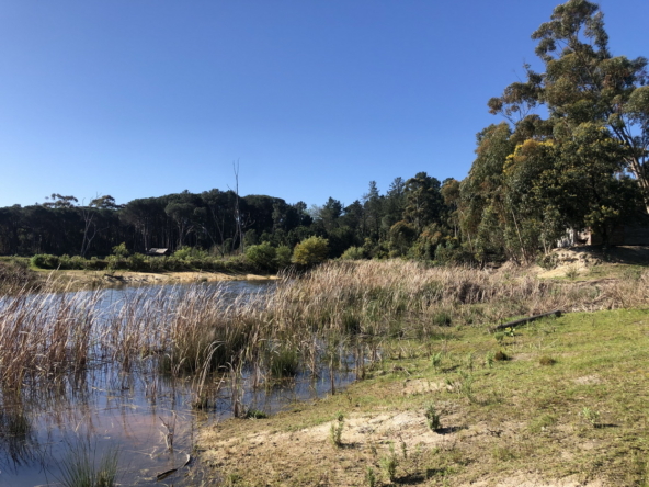 Wiesenhof AS 2019-086