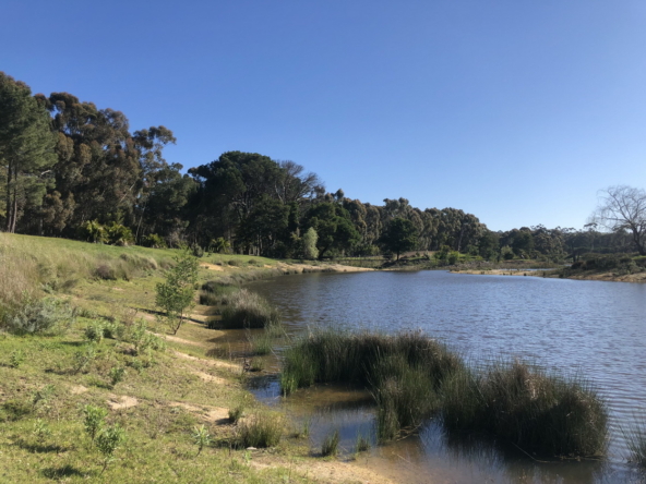 Wiesenhof AS 2019-087