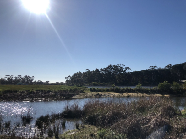 Wiesenhof AS 2019-089