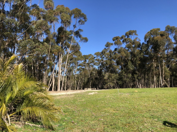 Wiesenhof AS 2019-090